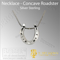 Necklace - Concave Roadster