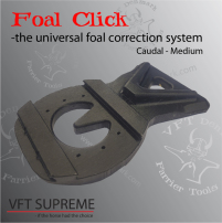 Foal Click - Caudal Extention