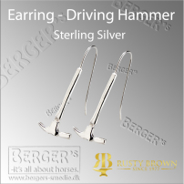 Earrings - Driving Hammer